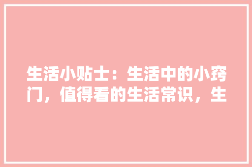 品字楼四房两厅两卫装修攻略打造温馨舒适的家居空间