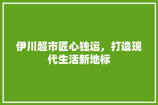 伊川超市匠心独运，打造现代生活新地标