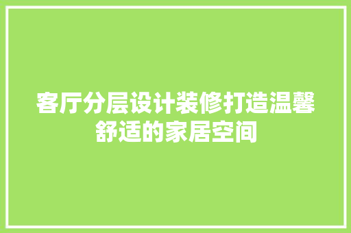 客厅分层设计装修打造温馨舒适的家居空间