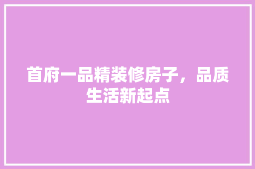 首府一品精装修房子，品质生活新起点