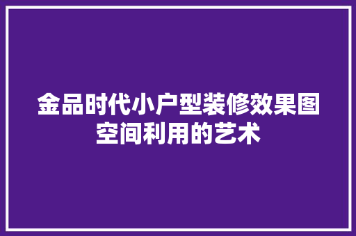 金品时代小户型装修效果图空间利用的艺术