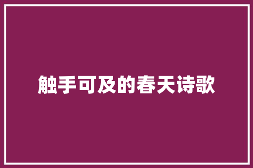 纯水晶代码数字世界的神秘力量
