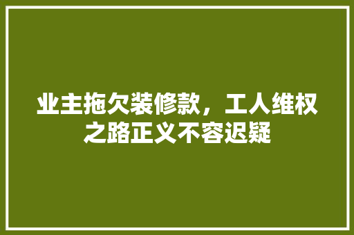 业主拖欠装修款，工人维权之路正义不容迟疑
