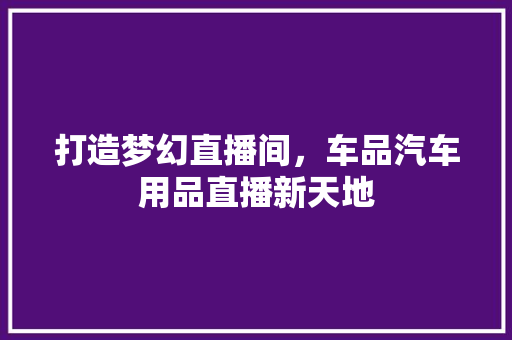 打造梦幻直播间，车品汽车用品直播新天地