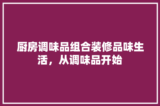 厨房调味品组合装修品味生活，从调味品开始
