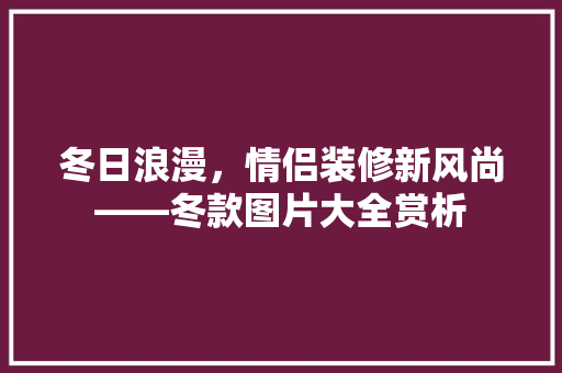 冬日浪漫，情侣装修新风尚——冬款图片大全赏析