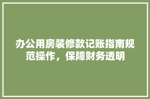 办公用房装修款记账指南规范操作，保障财务透明