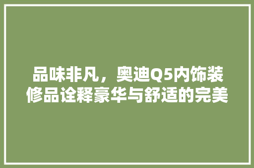 品味非凡，奥迪Q5内饰装修品诠释豪华与舒适的完美结合