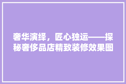 奢华演绎，匠心独运——探秘奢侈品店精致装修效果图背后的艺术魅力