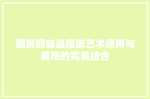 厨房调味品摆放艺术适用与美观的完美结合