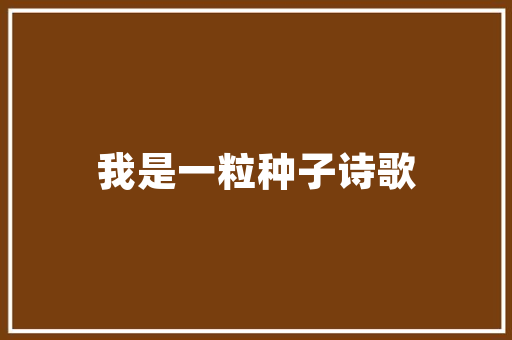 品味非凡，尽在一品国际酒店装修——打造高端酒店装修新标杆