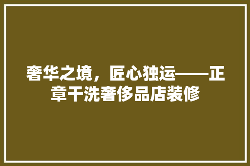 奢华之境，匠心独运——正章干洗奢侈品店装修