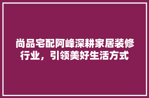尚品宅配阿峰深耕家居装修行业，引领美好生活方式