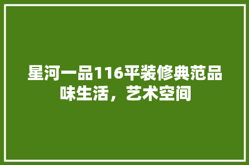 星河一品116平装修典范品味生活，艺术空间