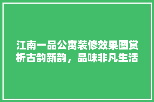 江南一品公寓装修效果图赏析古韵新韵，品味非凡生活