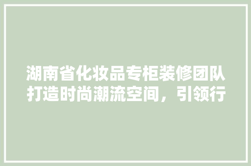 湖南省化妆品专柜装修团队打造时尚潮流空间，引领行业新风尚  第1张