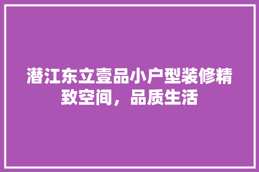 潜江东立壹品小户型装修精致空间，品质生活
