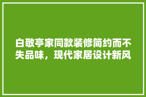 白敬亭家同款装修简约而不失品味，现代家居设计新风尚