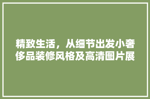精致生活，从细节出发小奢侈品装修风格及高清图片展示