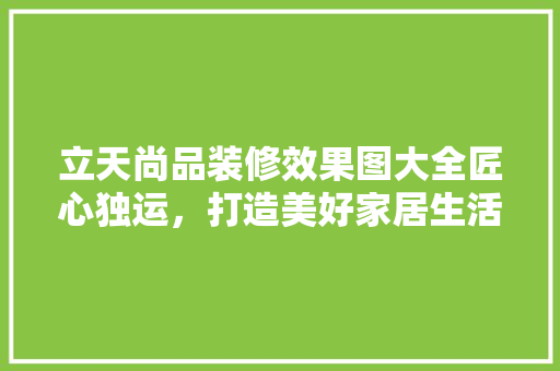 立天尚品装修效果图大全匠心独运，打造美好家居生活