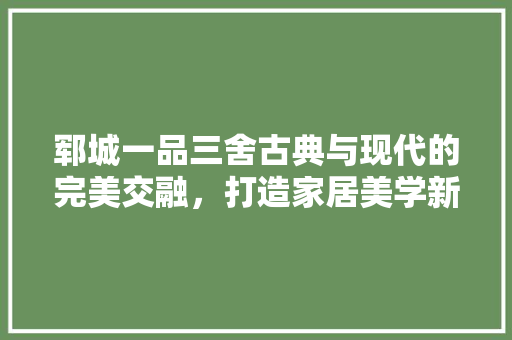 郓城一品三舍古典与现代的完美交融，打造家居美学新标杆  第1张