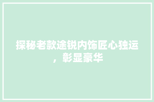 探秘老款途锐内饰匠心独运，彰显豪华
