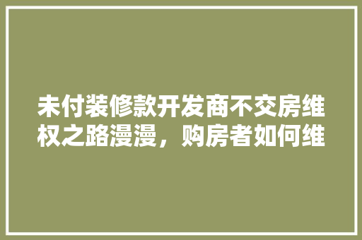 未付装修款开发商不交房维权之路漫漫，购房者如何维护自身权益