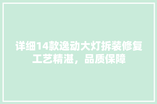 详细14款逸动大灯拆装修复工艺精湛，品质保障