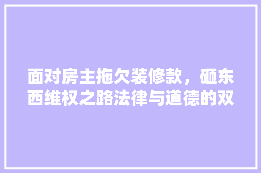 面对房主拖欠装修款，砸东西维权之路法律与道德的双重考量