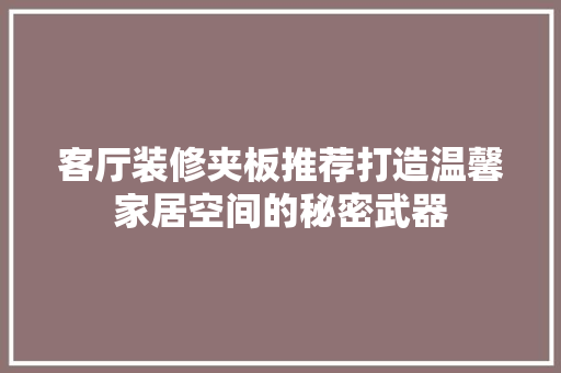 客厅装修夹板推荐打造温馨家居空间的秘密武器