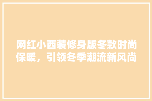 网红小西装修身版冬款时尚保暖，引领冬季潮流新风尚