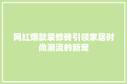 网红爆款装修砖引领家居时尚潮流的新宠