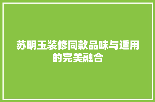 苏明玉装修同款品味与适用的完美融合