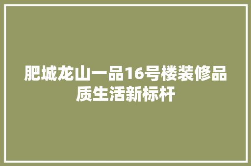 肥城龙山一品16号楼装修品质生活新标杆