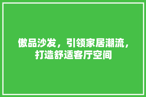 傲品沙发，引领家居潮流，打造舒适客厅空间