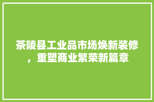 茶陵县工业品市场焕新装修，重塑商业繁荣新篇章
