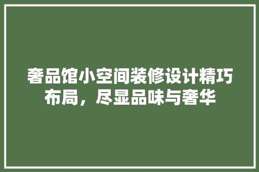奢品馆小空间装修设计精巧布局，尽显品味与奢华