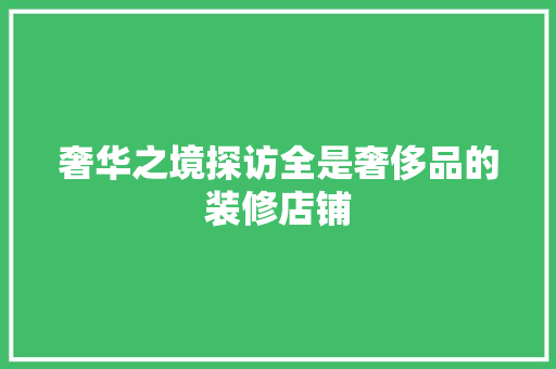 奢华之境探访全是奢侈品的装修店铺