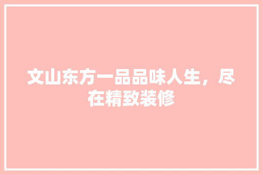 文山东方一品品味人生，尽在精致装修