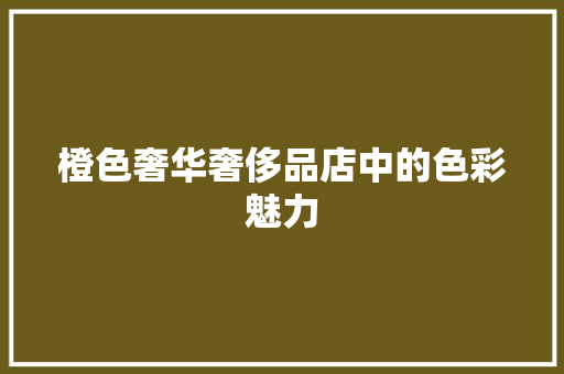 橙色奢华奢侈品店中的色彩魅力  第1张