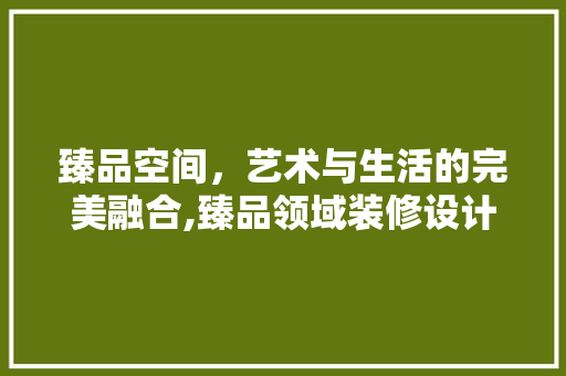 臻品空间，艺术与生活的完美融合,臻品领域装修设计图