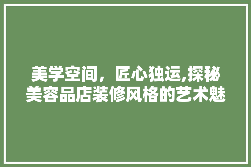 美学空间，匠心独运,探秘美容品店装修风格的艺术魅力
