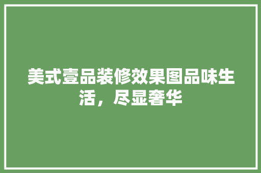 美式壹品装修效果图品味生活，尽显奢华
