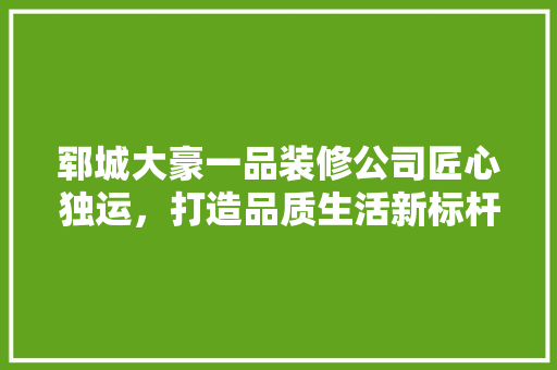 郓城大豪一品装修公司匠心独运，打造品质生活新标杆
