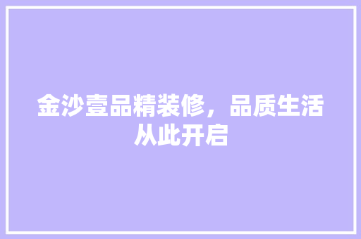 金沙壹品精装修，品质生活从此开启