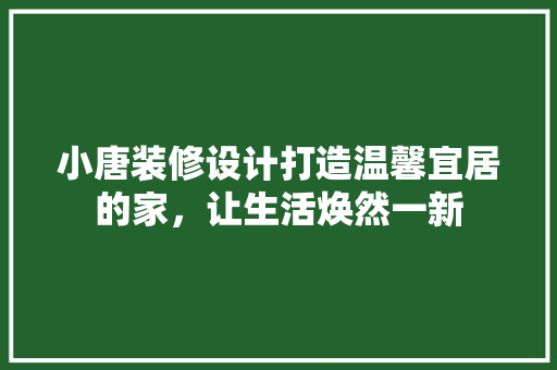小唐装修设计打造温馨宜居的家，让生活焕然一新