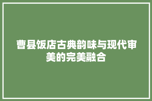 曹县饭店古典韵味与现代审美的完美融合