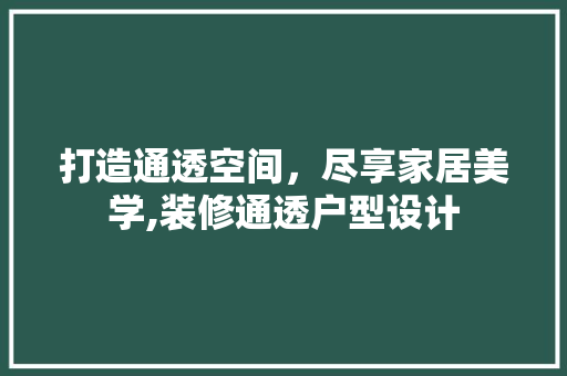 打造通透空间，尽享家居美学,装修通透户型设计