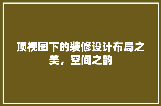 顶视图下的装修设计布局之美，空间之韵  第1张