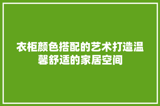 衣柜颜色搭配的艺术打造温馨舒适的家居空间